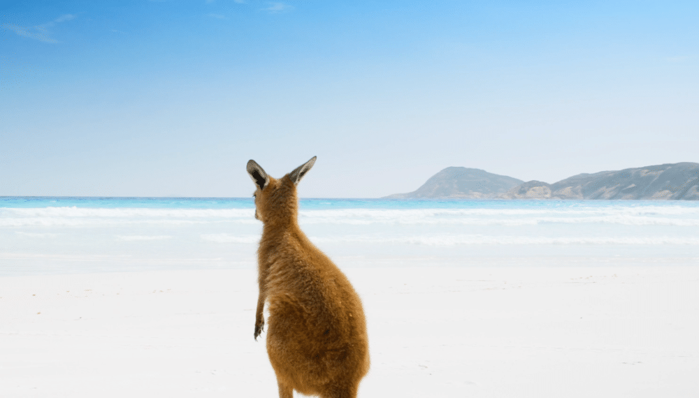 L'Ouest australien