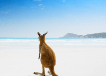 L'Ouest australien
