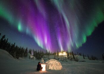 igloo neige aurores boréales