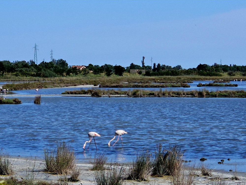 Comacchio, la petite Venise de l’Émilie-Romagne