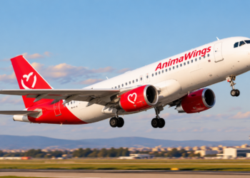 AnimaWings