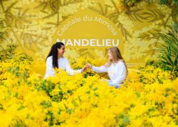 Crédit photo : Camille Moirenc – Destination Mandelieu – Mandelieu – La Mer de Mimosa – Fête du Mimosa