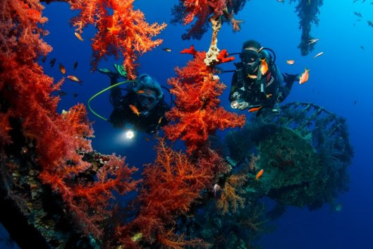 Plongée sous-marine à Aqaba - Jordan Tourism Board