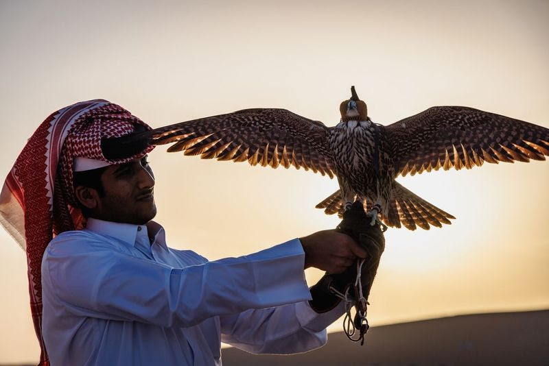 Visit Qatar