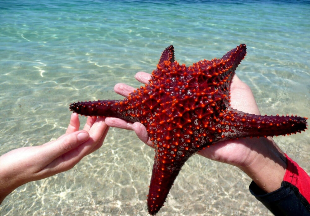 BAJA CALIFORNIA